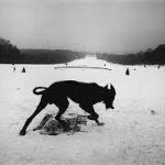 Josef Koudelka: una buona fotografia è un miracolo